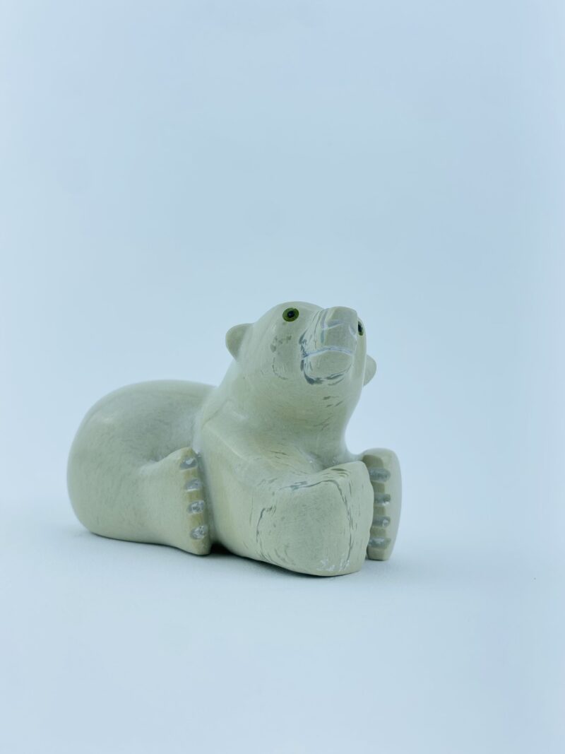 Resting Cub - Toonoo Sharky ᑐᓄ ᓴᑭ