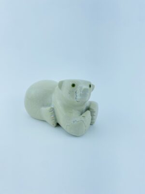 Resting Cub - Toonoo Sharky ᑐᓄ ᓴᑭ