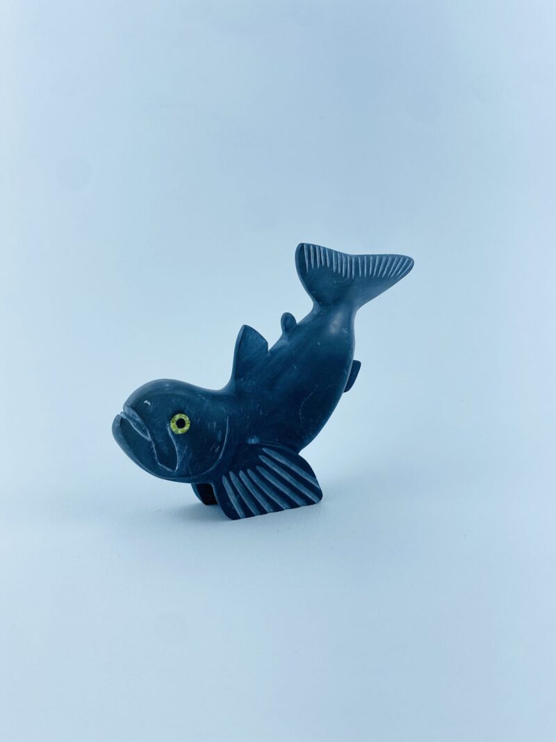 Arctic Char Fish - Toonoo Sharky ᑐᓄ ᓴᑭ