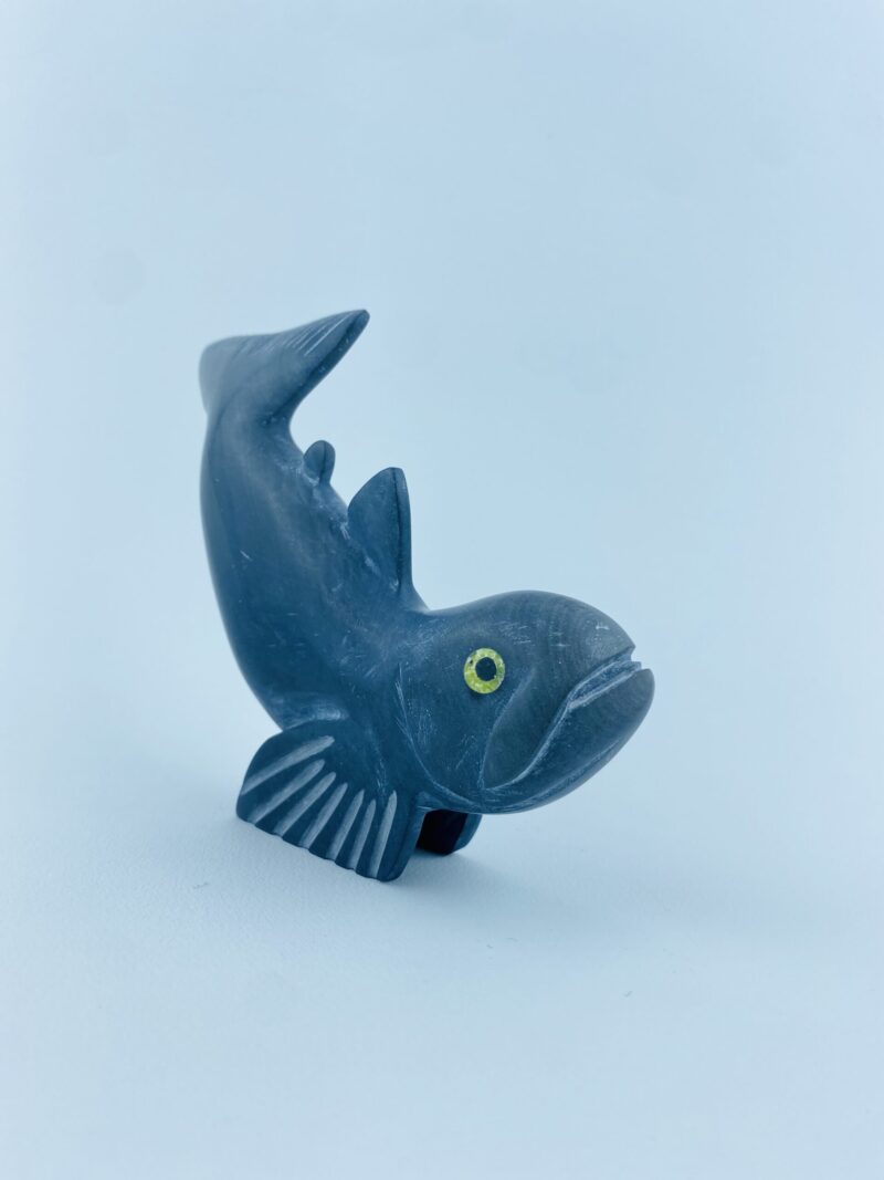 Arctic Char Fish - Toonoo Sharky ᑐᓄ ᓴᑭ