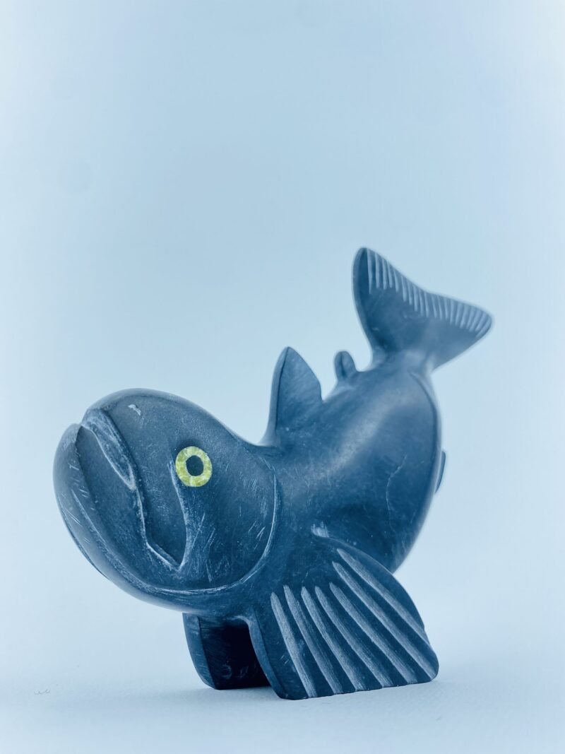 Arctic Char Fish - Toonoo Sharky ᑐᓄ ᓴᑭ