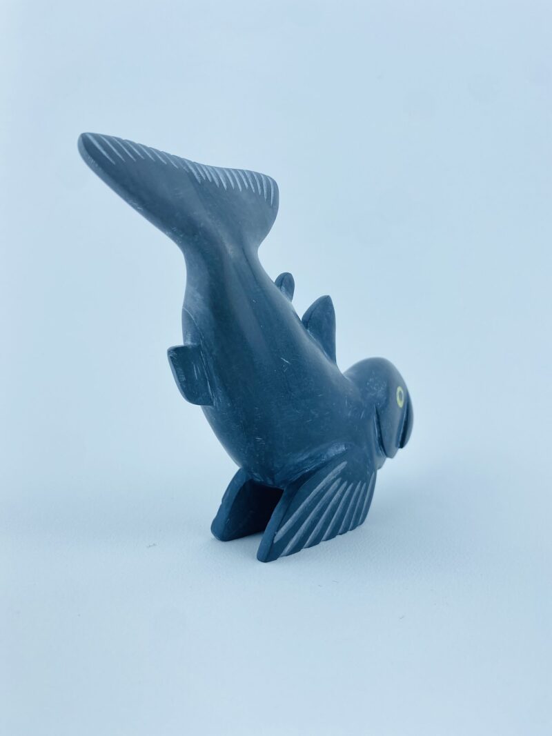 Arctic Char Fish - Toonoo Sharky ᑐᓄ ᓴᑭ