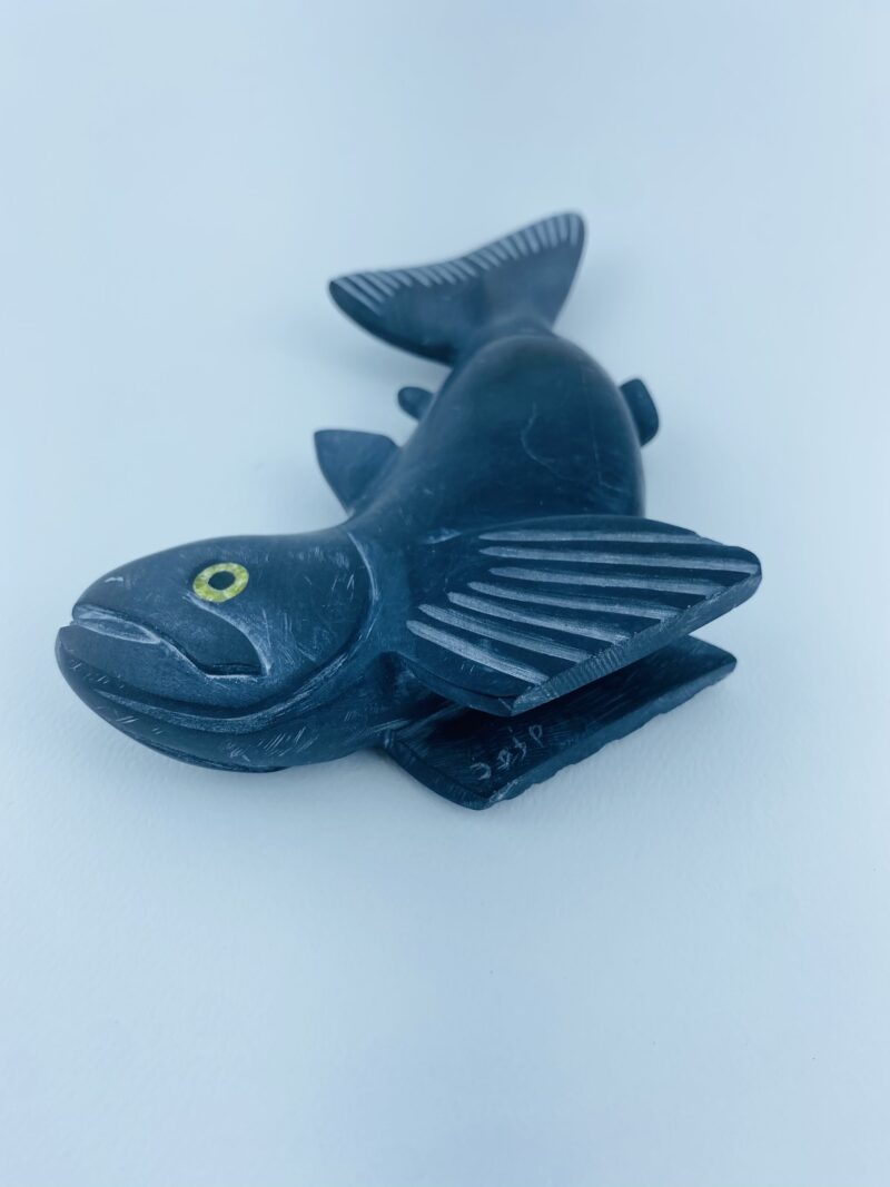 Arctic Char Fish - Toonoo Sharky ᑐᓄ ᓴᑭ