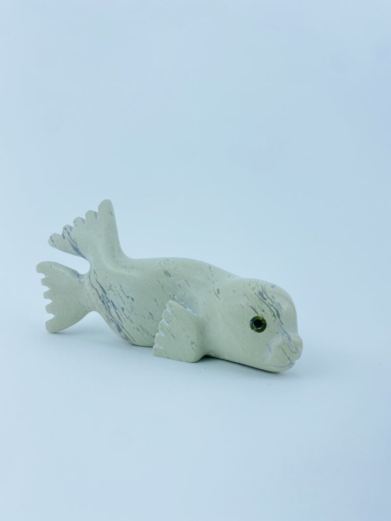 Seal Pup - Toonoo Sharky ᑐᓄ ᓴᑭ