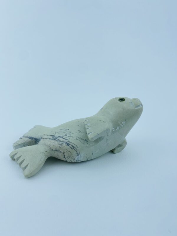 Seal Pup - Toonoo Sharky ᑐᓄ ᓴᑭ