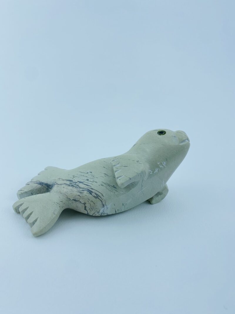 Seal Pup - Toonoo Sharky ᑐᓄ ᓴᑭ
