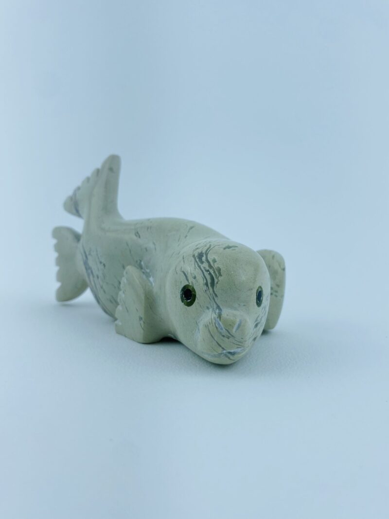Seal Pup - Toonoo Sharky ᑐᓄ ᓴᑭ