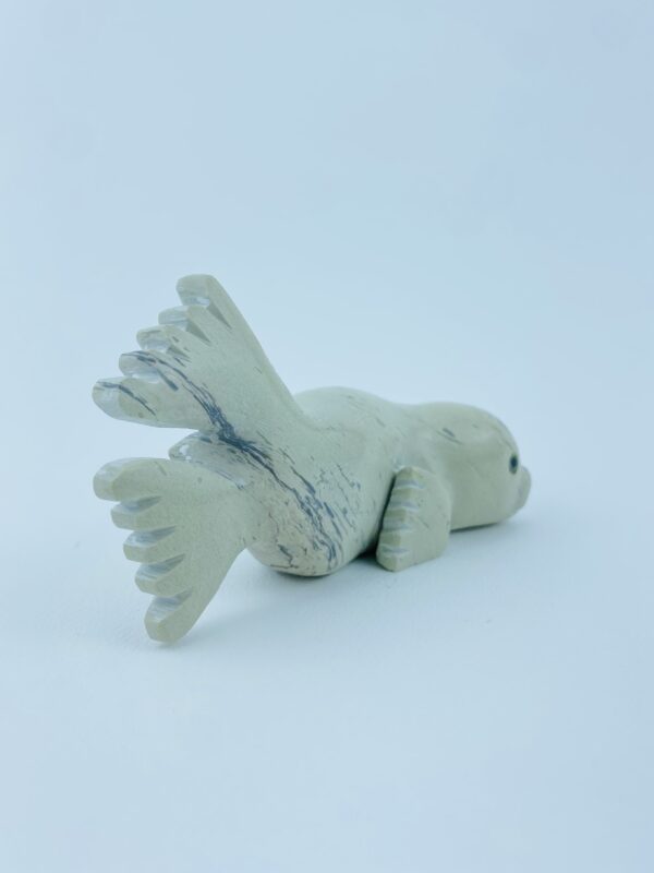 Seal Pup - Toonoo Sharky ᑐᓄ ᓴᑭ
