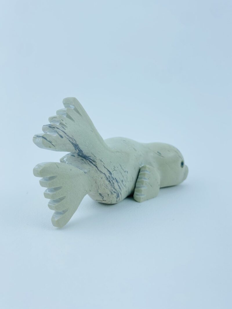 Seal Pup - Toonoo Sharky ᑐᓄ ᓴᑭ