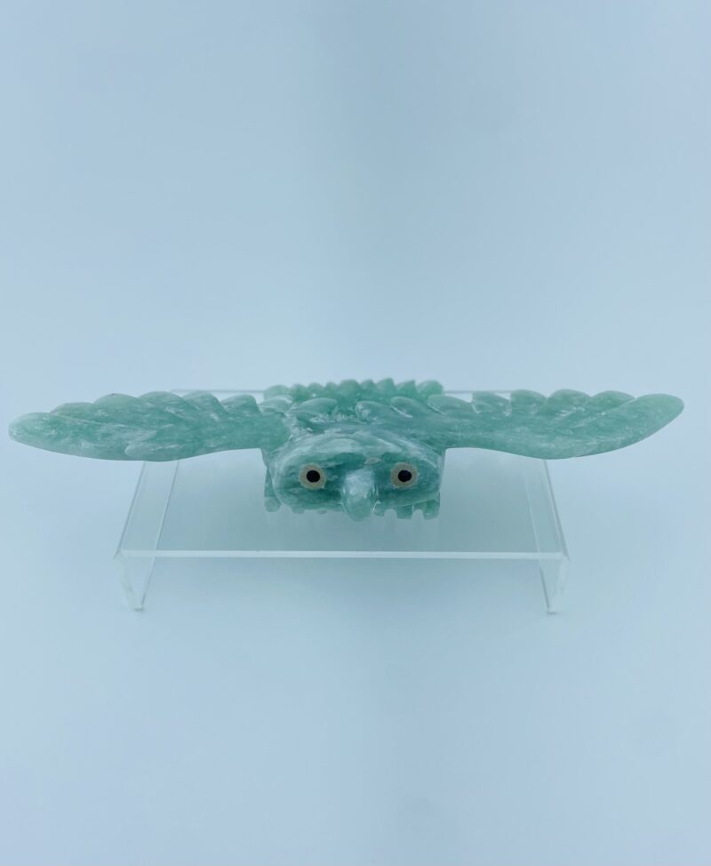 Gliding Owl - Toonoo Sharky ᑐᓄ ᓴᑭ