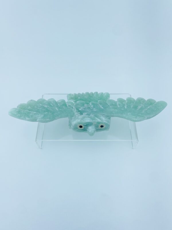 Gliding Owl - Toonoo Sharky ᑐᓄ ᓴᑭ