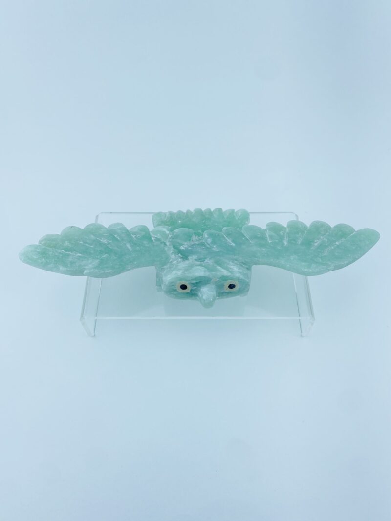 Gliding Owl - Toonoo Sharky ᑐᓄ ᓴᑭ