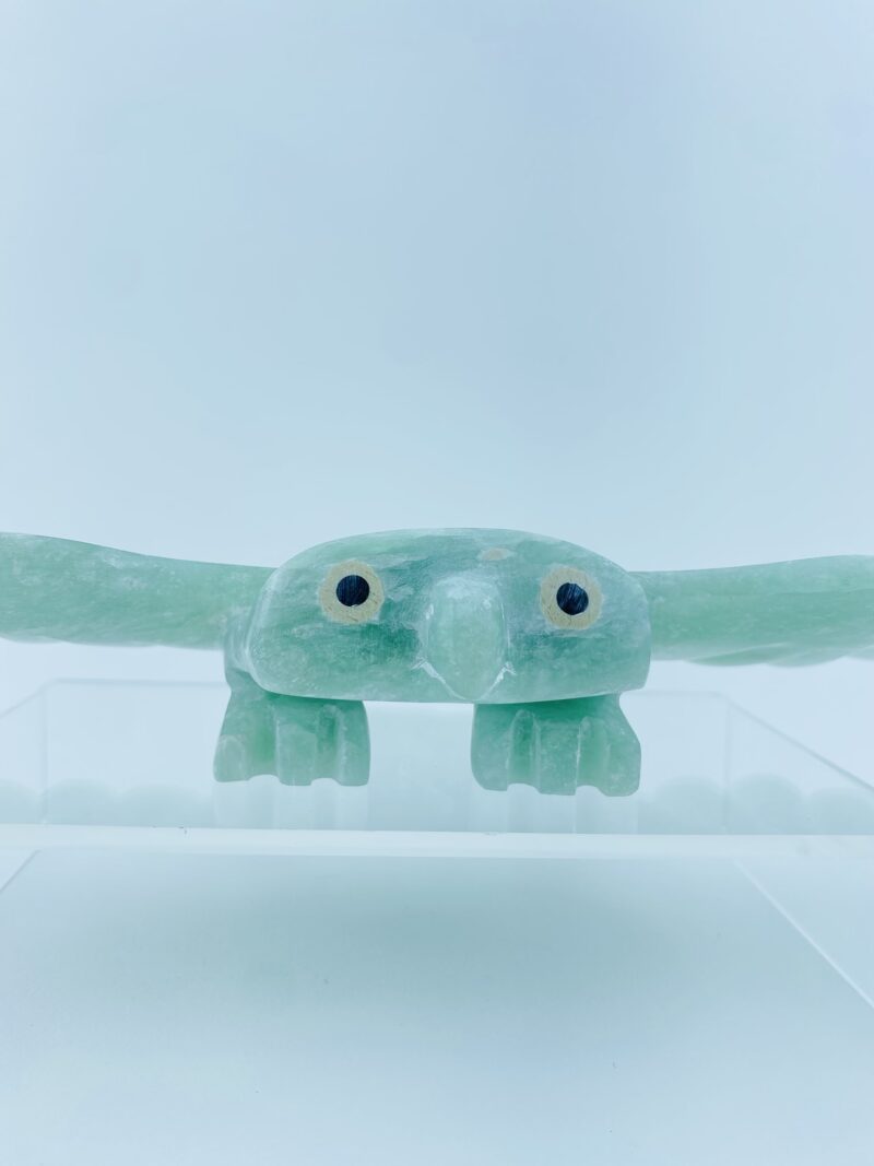 Gliding Owl - Toonoo Sharky ᑐᓄ ᓴᑭ