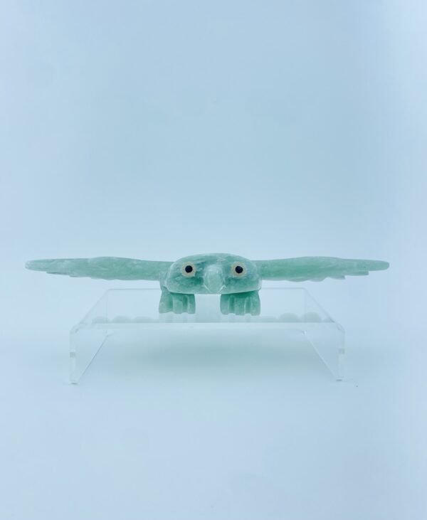 Gliding Owl - Toonoo Sharky ᑐᓄ ᓴᑭ