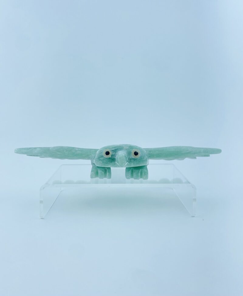 Gliding Owl - Toonoo Sharky ᑐᓄ ᓴᑭ