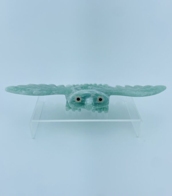 Gliding Owl - Toonoo Sharky ᑐᓄ ᓴᑭ