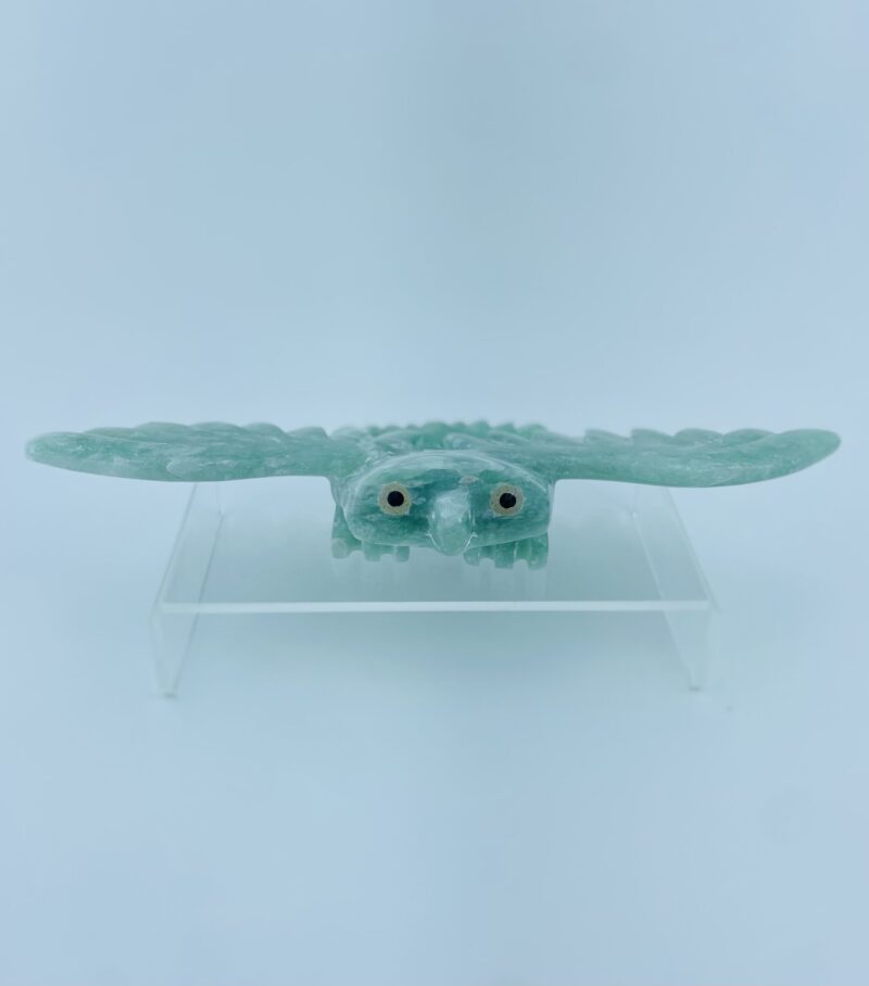 Gliding Owl - Toonoo Sharky ᑐᓄ ᓴᑭ