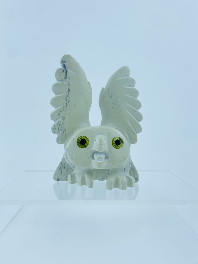 Spirit Owl - Toonoo Sharky ᑐᓄ ᓴᑭ