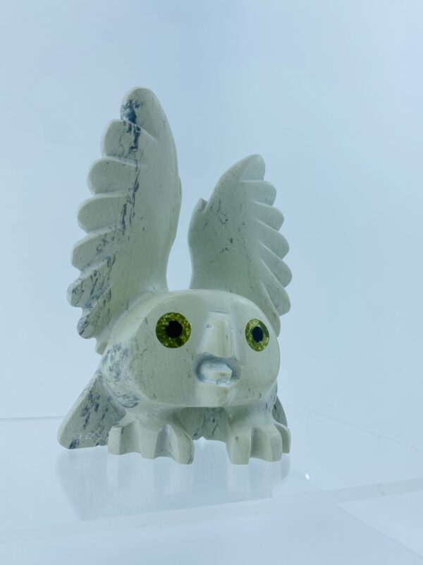 Spirit Owl - Toonoo Sharky ᑐᓄ ᓴᑭ