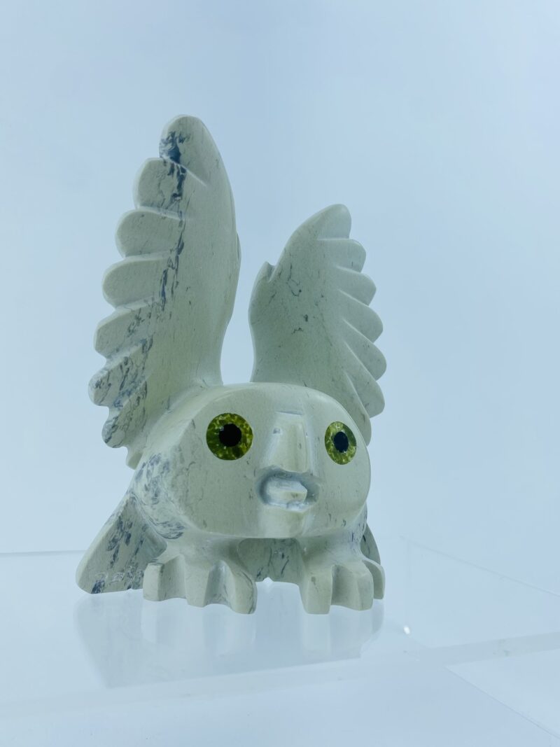 Spirit Owl - Toonoo Sharky ᑐᓄ ᓴᑭ