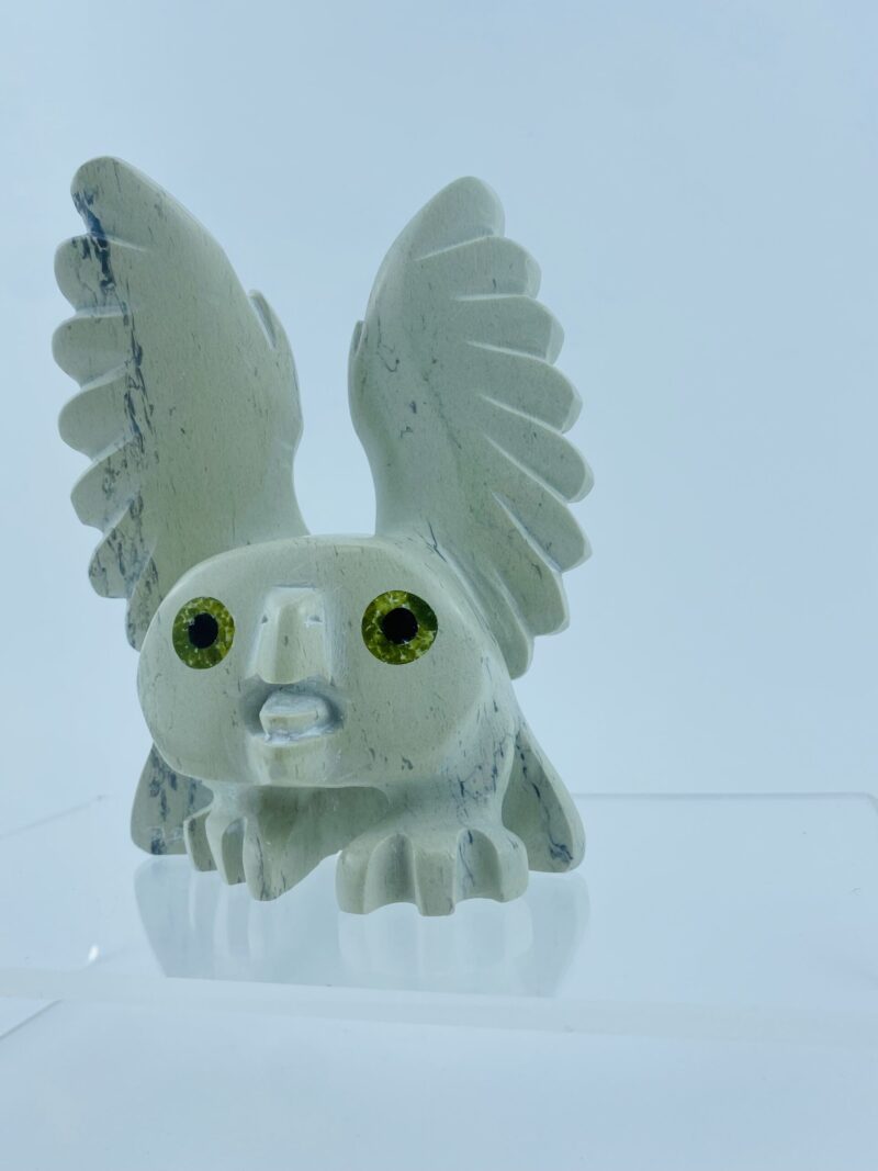 Spirit Owl - Toonoo Sharky ᑐᓄ ᓴᑭ