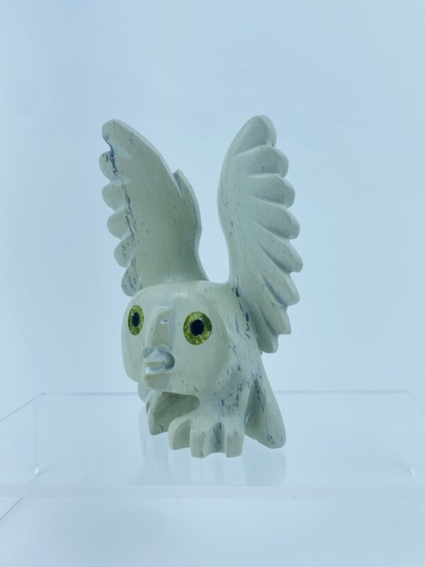 Spirit Owl - Toonoo Sharky ᑐᓄ ᓴᑭ