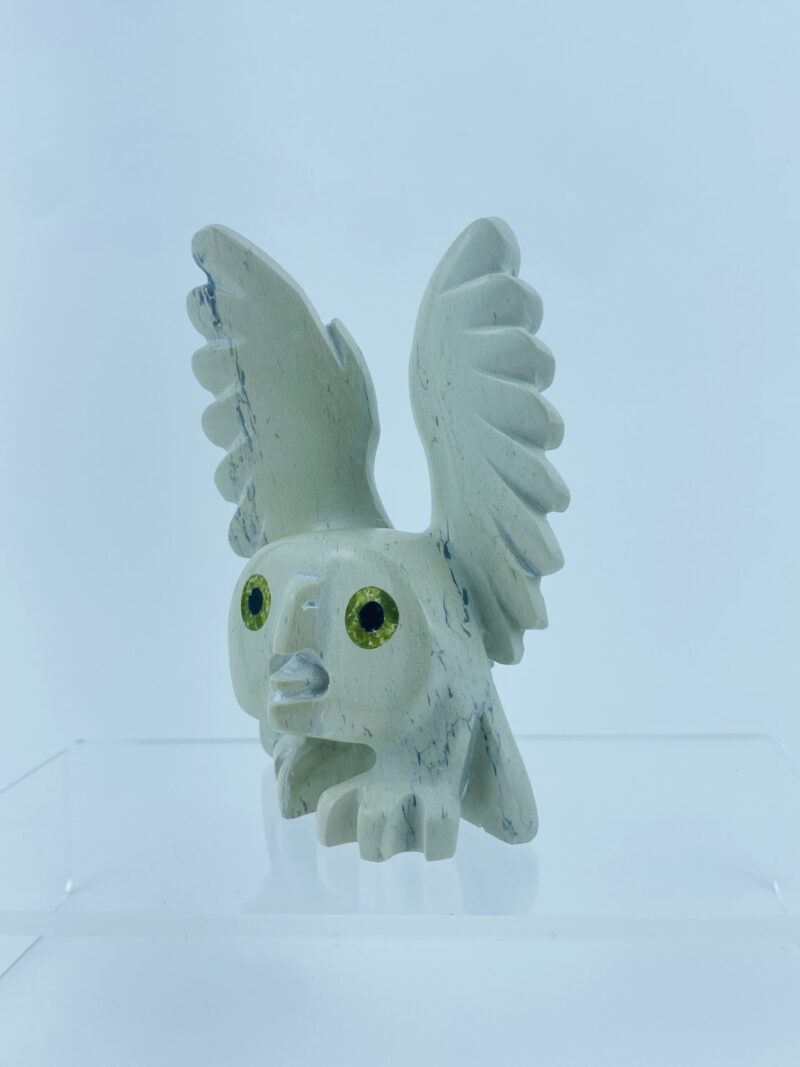 Spirit Owl - Toonoo Sharky ᑐᓄ ᓴᑭ