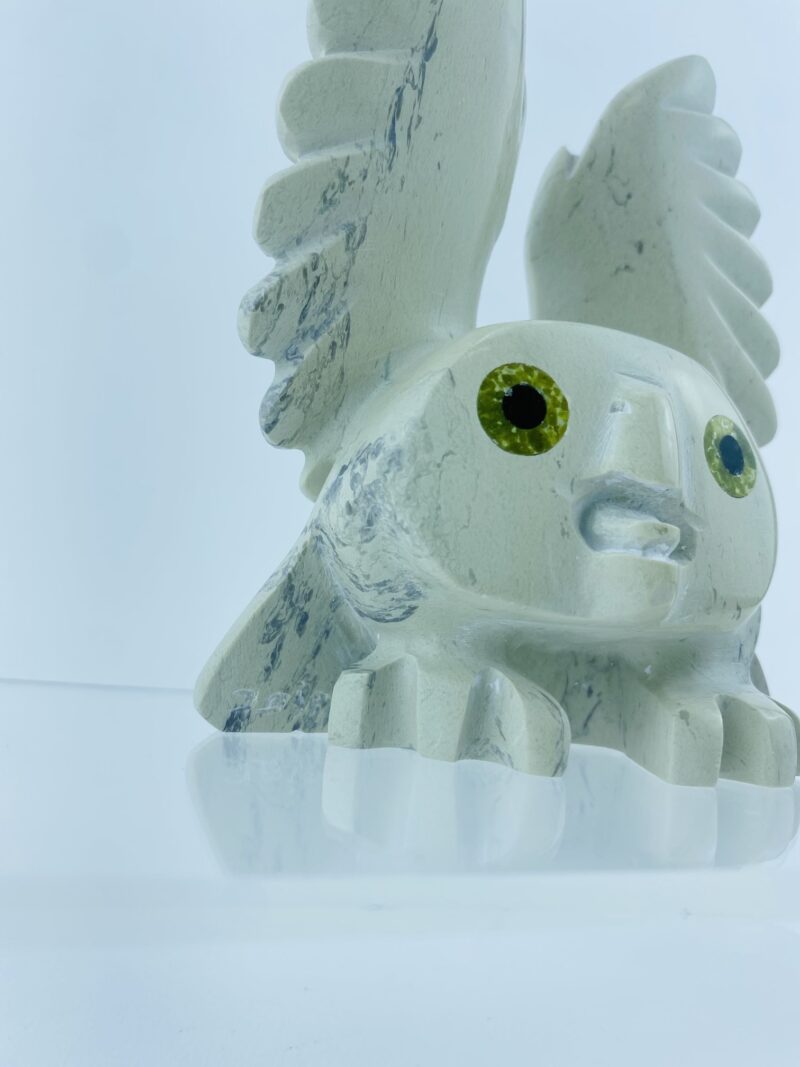 Spirit Owl - Toonoo Sharky ᑐᓄ ᓴᑭ