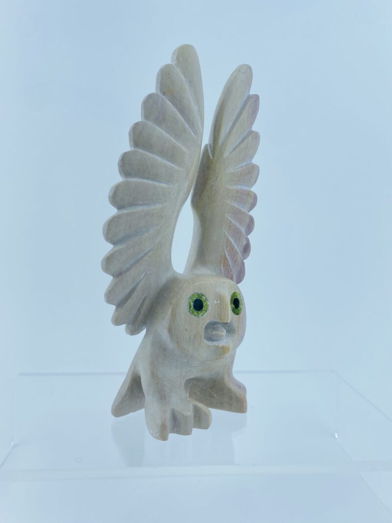 Guardian Owl