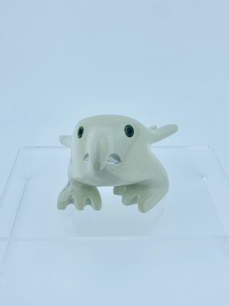 Young Eagle - Toonoo Sharky ᑐᓄ ᓴᑭ