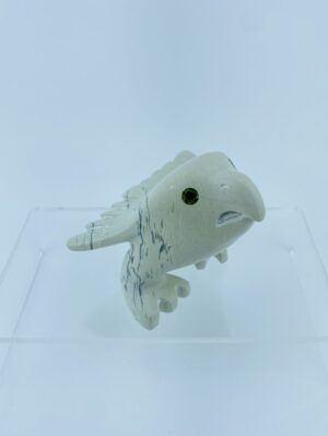 Young Eagle - Toonoo Sharky ᑐᓄ ᓴᑭ