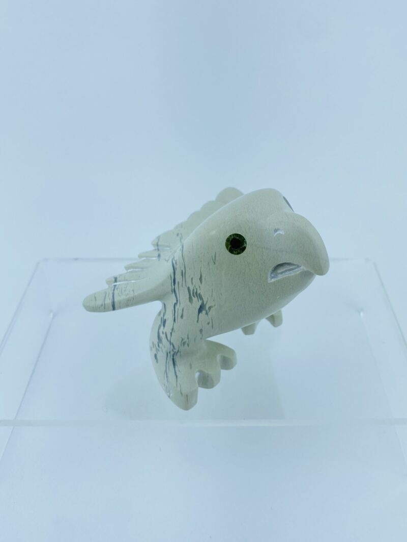 Young Eagle - Toonoo Sharky ᑐᓄ ᓴᑭ