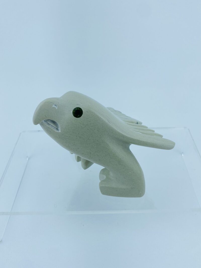 Young Eagle - Toonoo Sharky ᑐᓄ ᓴᑭ