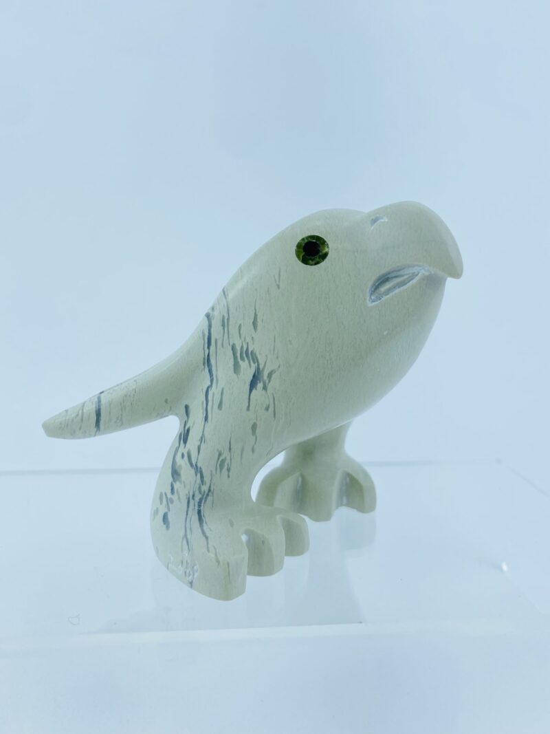 Young Eagle - Toonoo Sharky ᑐᓄ ᓴᑭ