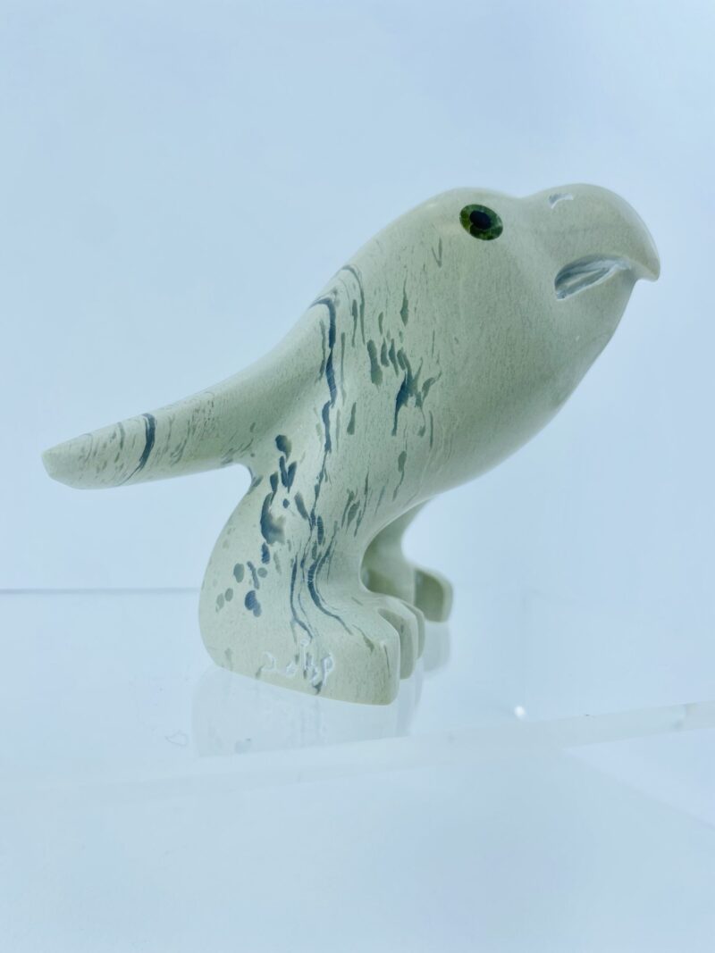 Young Eagle - Toonoo Sharky ᑐᓄ ᓴᑭ
