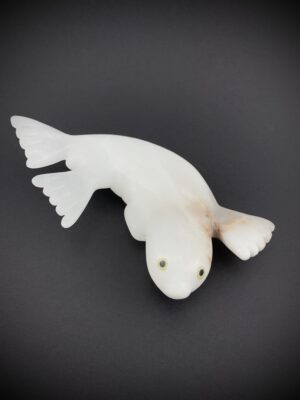 Young Pup - Toonoo Sharky ᑐᓄ ᓴᑭ