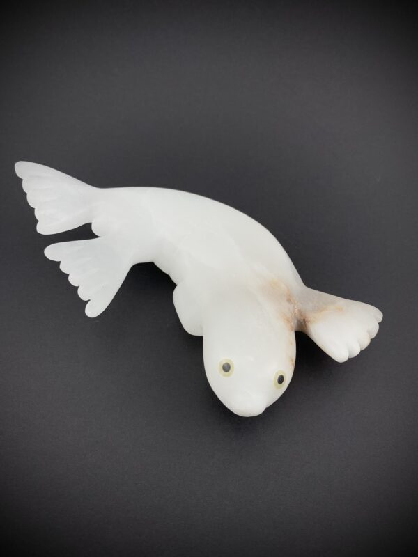 Young Pup - Toonoo Sharky ᑐᓄ ᓴᑭ
