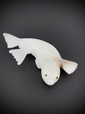 Young Pup - Toonoo Sharky ᑐᓄ ᓴᑭ