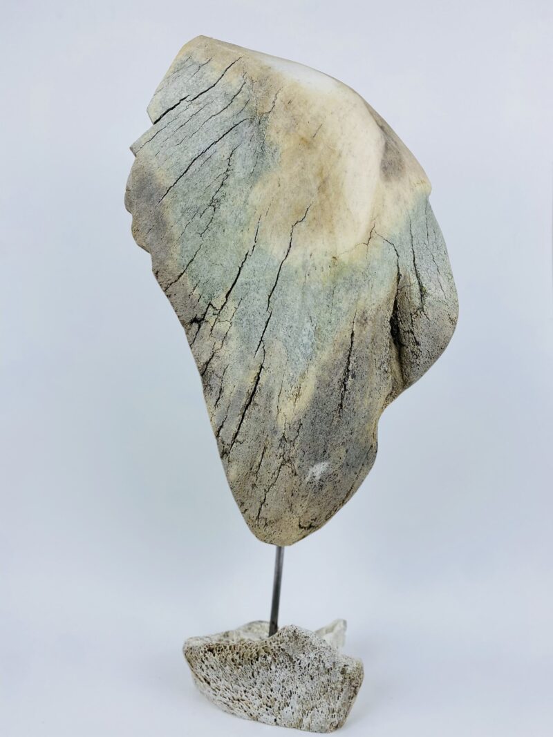 Knowledge Keeper Shaman - Billy Merkosak ᐱᓕ ᒣᕐᑯᓴᒃ