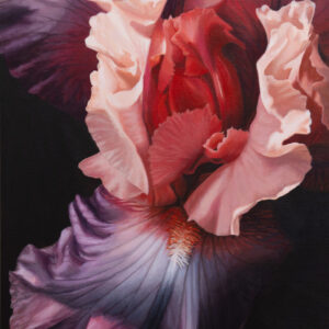 Shadow Dancer - Marianne Vander Dussen