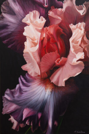 Shadow Dancer - Marianne Vander Dussen